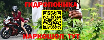 шишки Комсомольск-на-Амуре