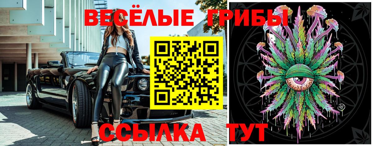 Псилоцибиновые грибы Cubensis  Галлюциногенные грибы мухоморы  Киров  Вход с VPN 