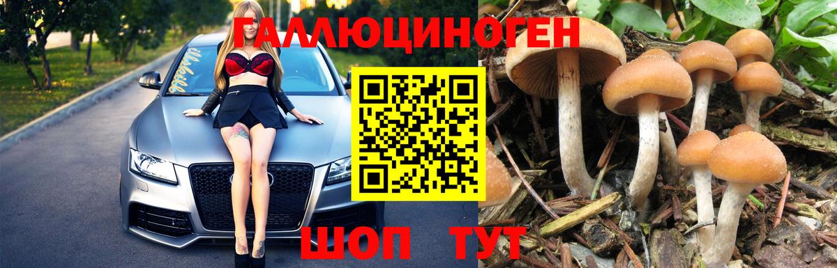 Галлюциногенные грибы мицелий Киров